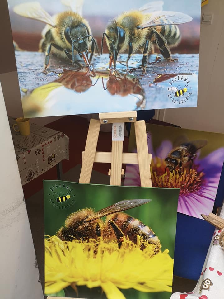 pszczoły 4.jpg