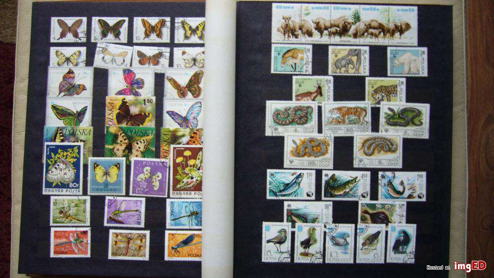 znaczki-pocztowe-klaser-ze-znaczkami-album-kolekcja-filatelistyka-31547502.jpg