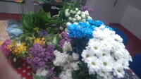 Święto kwiatów- magia barw i  zapachów
