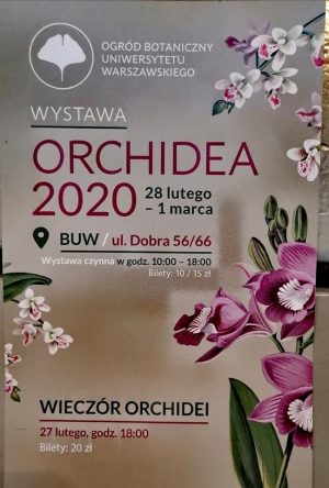 &quot;Orchidea 2020&quot;